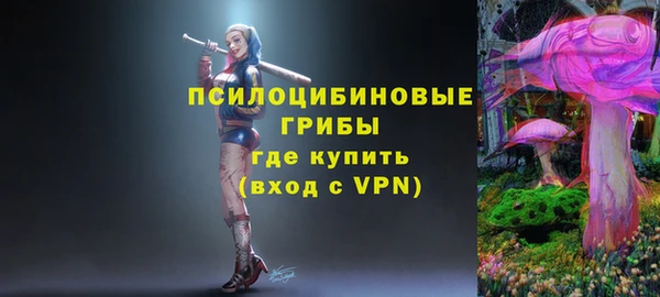 таблы Михайловск