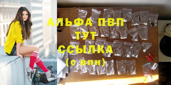 ECSTASY Михайлов