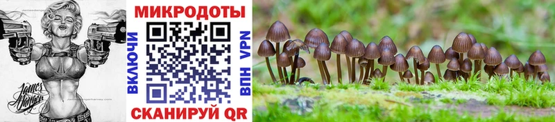 Купить где  Шагонар  Псилоцибиновые грибы мухоморы 
